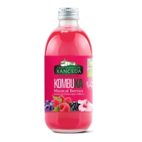 Kombucha XANCEDA Maxical Berries eco 250 ml