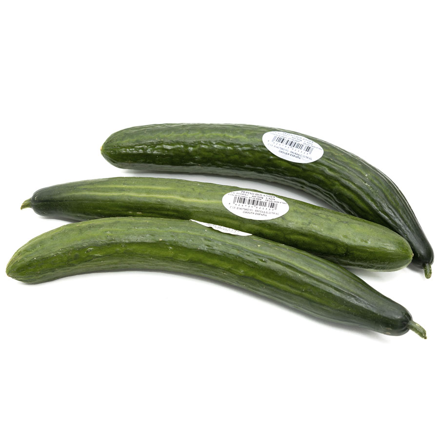 Pepino holandés 1ª calibre 12-14 kilo