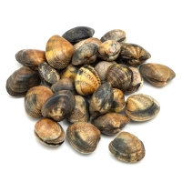 Ameixa xaponesa (caixa ) quilo