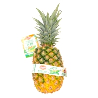 Piña DEL MONTE avión premium enteira categoría 1ª calibre 5/6/7 (peso mínimo 1,5 kg) quilo