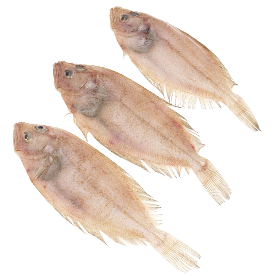 Gallo (ración) kilo