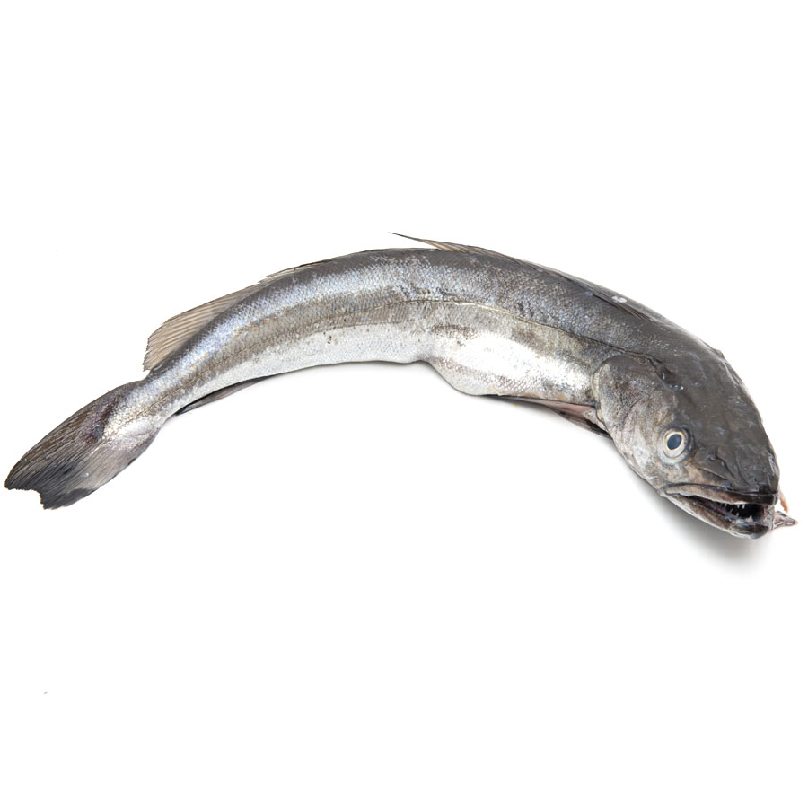 Merluza del pincho 1-2 kg (lonjas de España) kilo