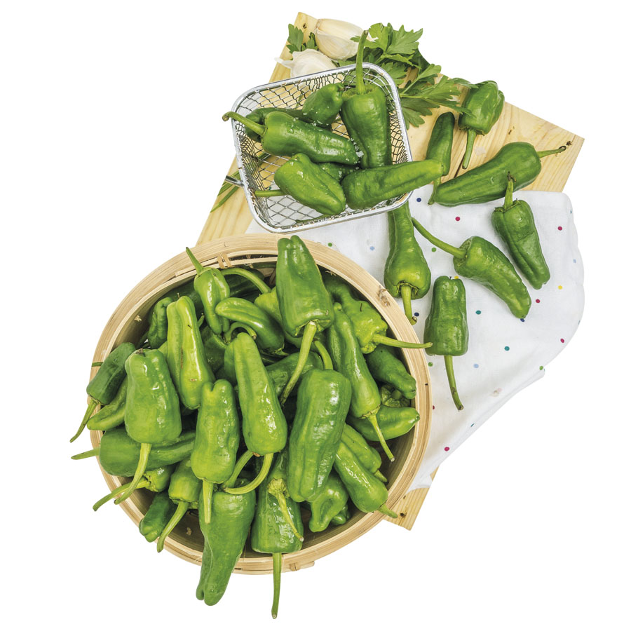 Pimiento dulce variedad Padrón kilo