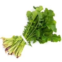 Nabizas manojo (peso mínimo 800 g)