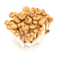 Cogomelos Shimeji marróns bandexa 150 g