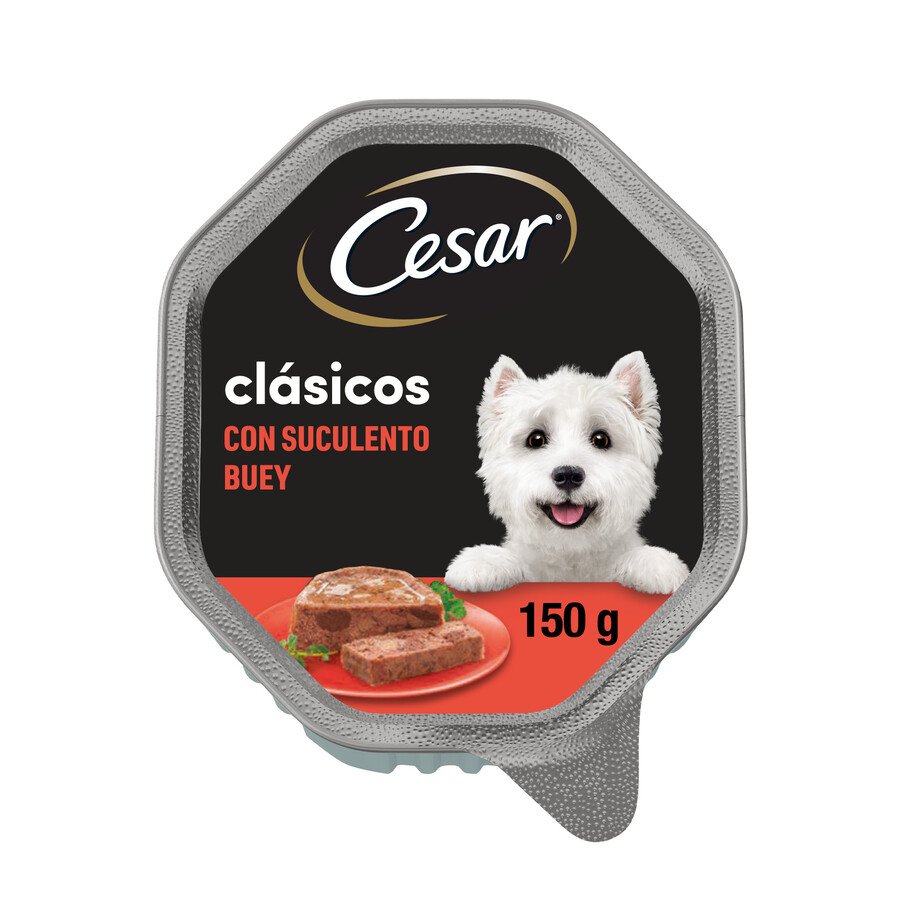 Imagen de Alimento perro CESAR paté buey tarrina 150 g