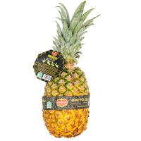 Piña DEL MONTE entera categoría 1ª calibre 5/6/7 (P.min 1,4 kg) kilo