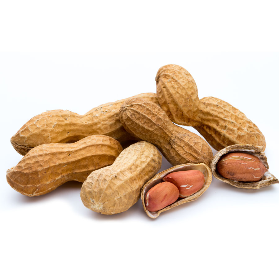 Cacahuete con cáscara jumbo tostado calibre 2/3mm kilo