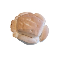 Pan bregado VILLAMAYOR 275 g