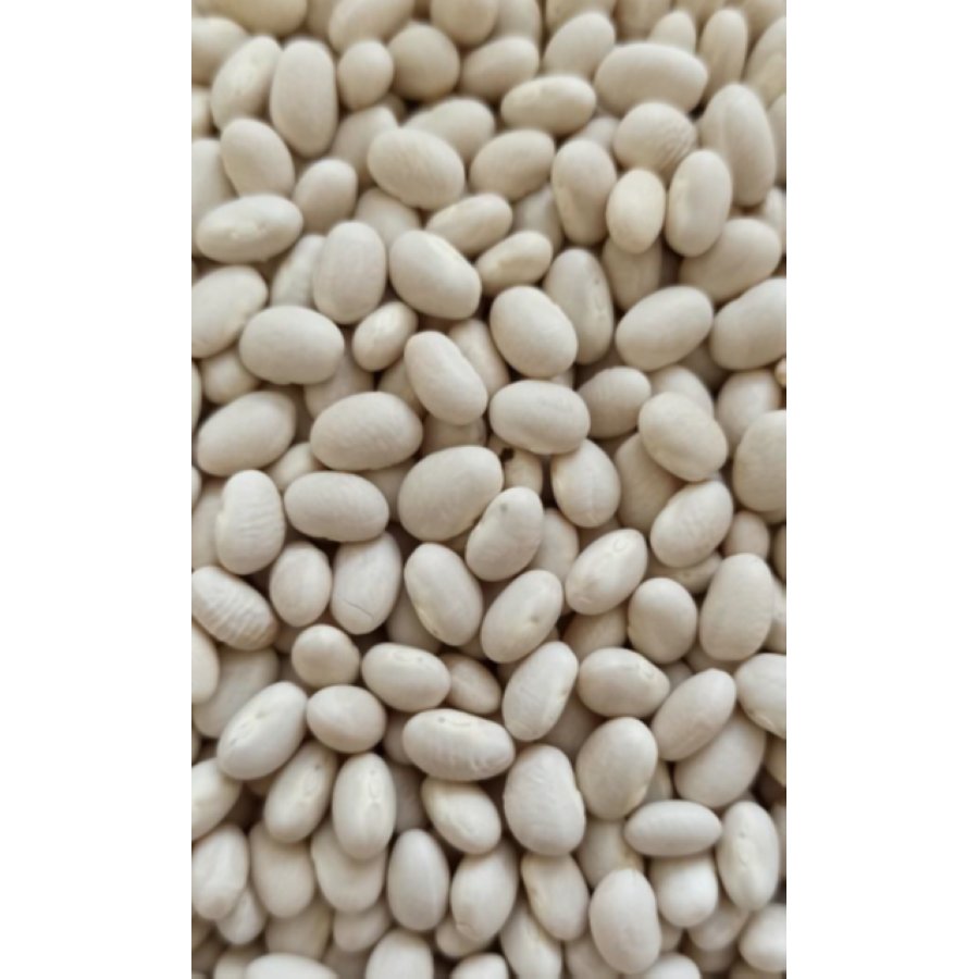 Alubias arrocinas extra EL MARAGATO kilo