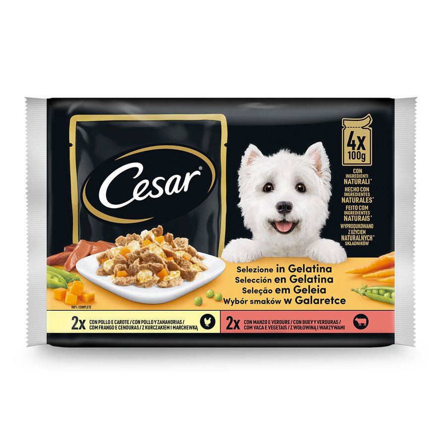 Alimento perro CESAR selección en gelatina pack 4x100 g