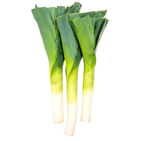 Puerro categoria 1ª calibre 30/60mm kilo