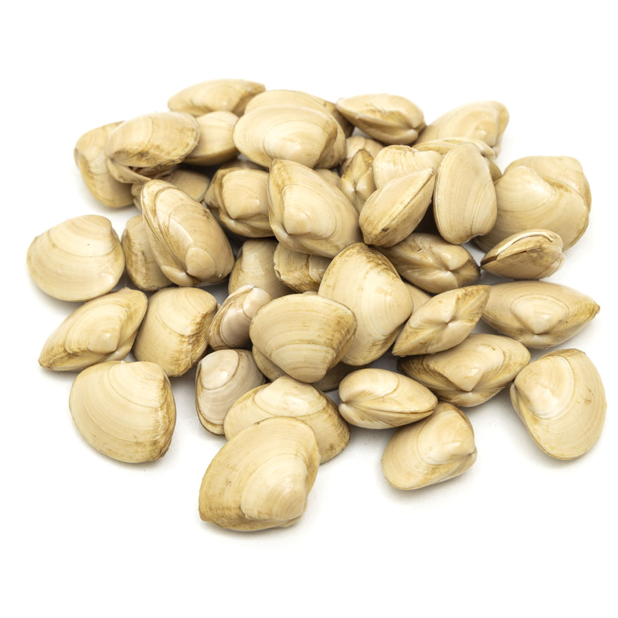 Almeja blanca kilo