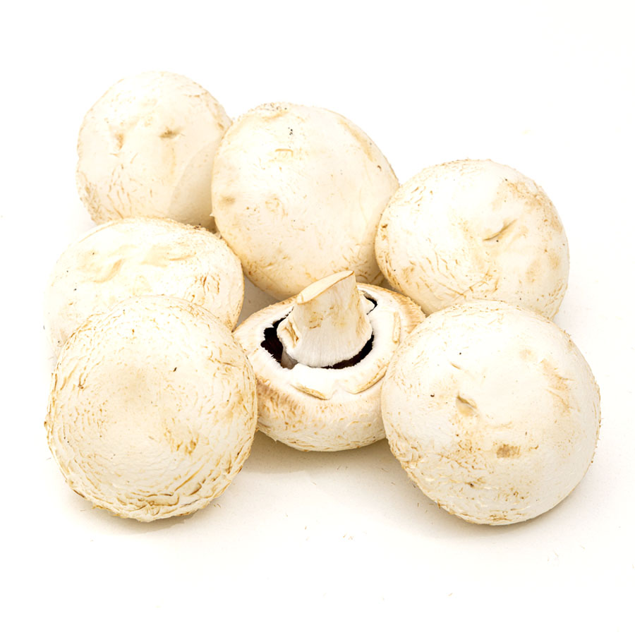 Champiñón blanco pie cortado categoría 1ª calibre 50/80mm kilo