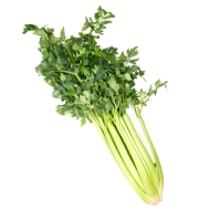 Apio verde categoría 1ª (longitud superir 30cm+) kilo
