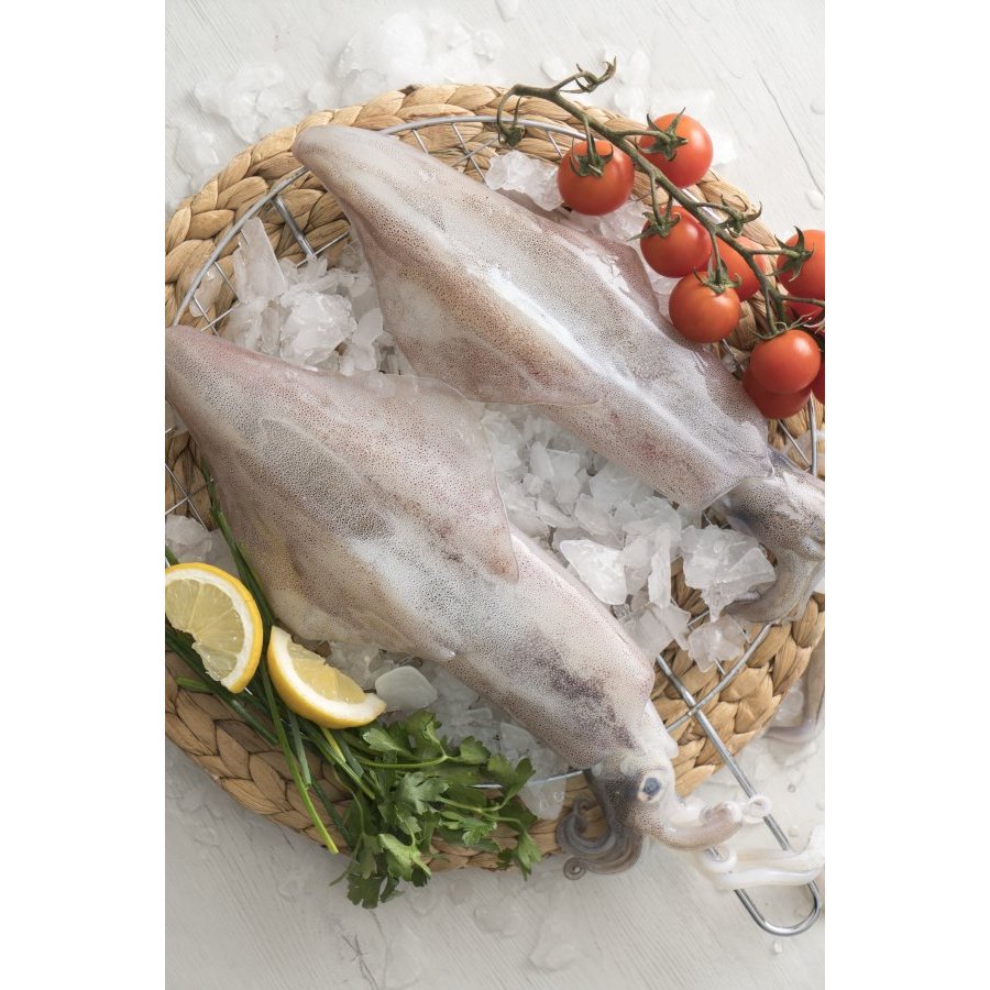 Calamar del cabo mediano kilo