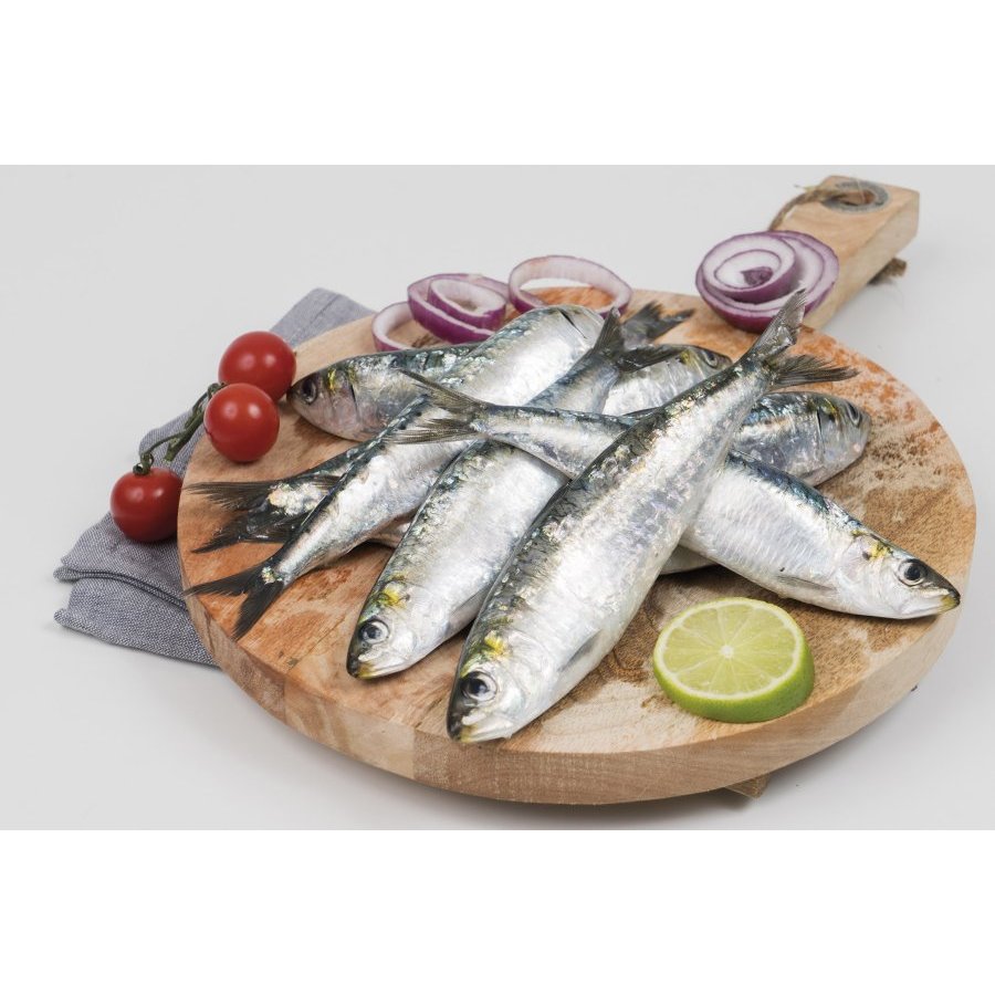Sardina costa pequeña (xouba) kilo