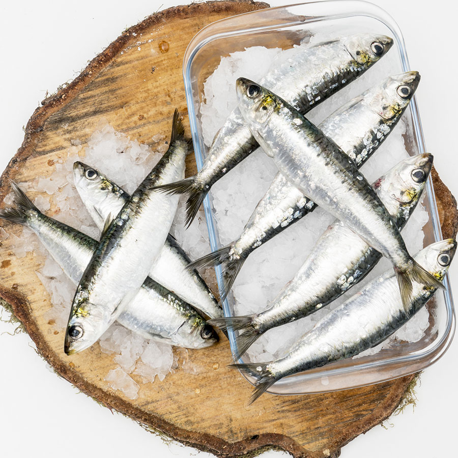 Sardina kilo