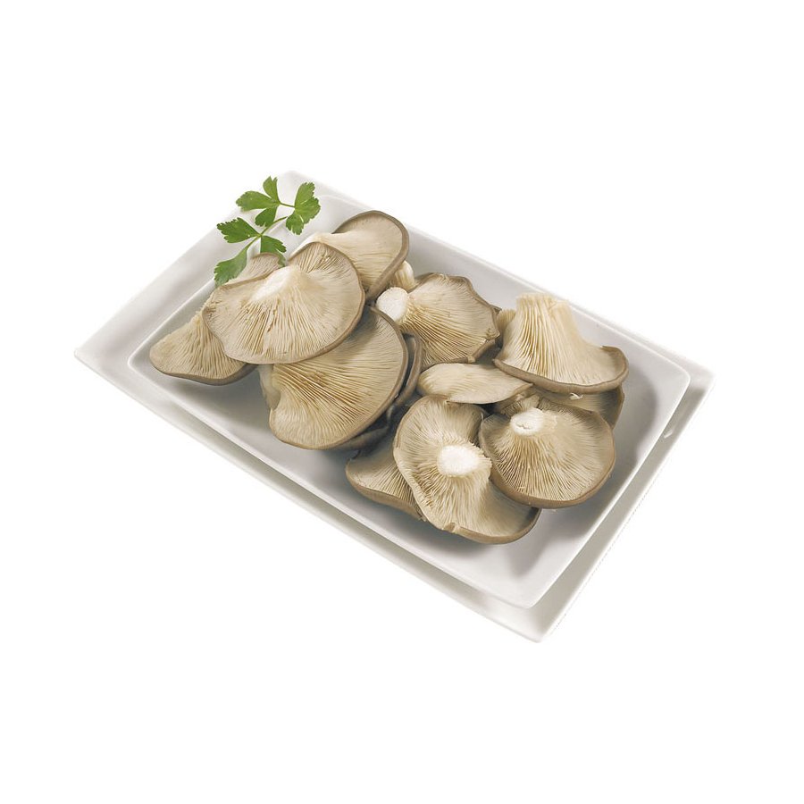 Setas categoría 1ª calibre 60mm+ kilo