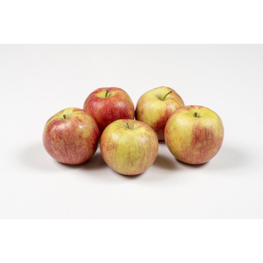 Manzana Jonagored categoría 1ª calibre 80/90mm kilo