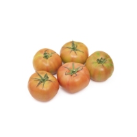 Tomate Rocasol categoría 1ª calibre 72mm+ quilo