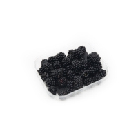Moras categoría 1ª bandeja 170 g