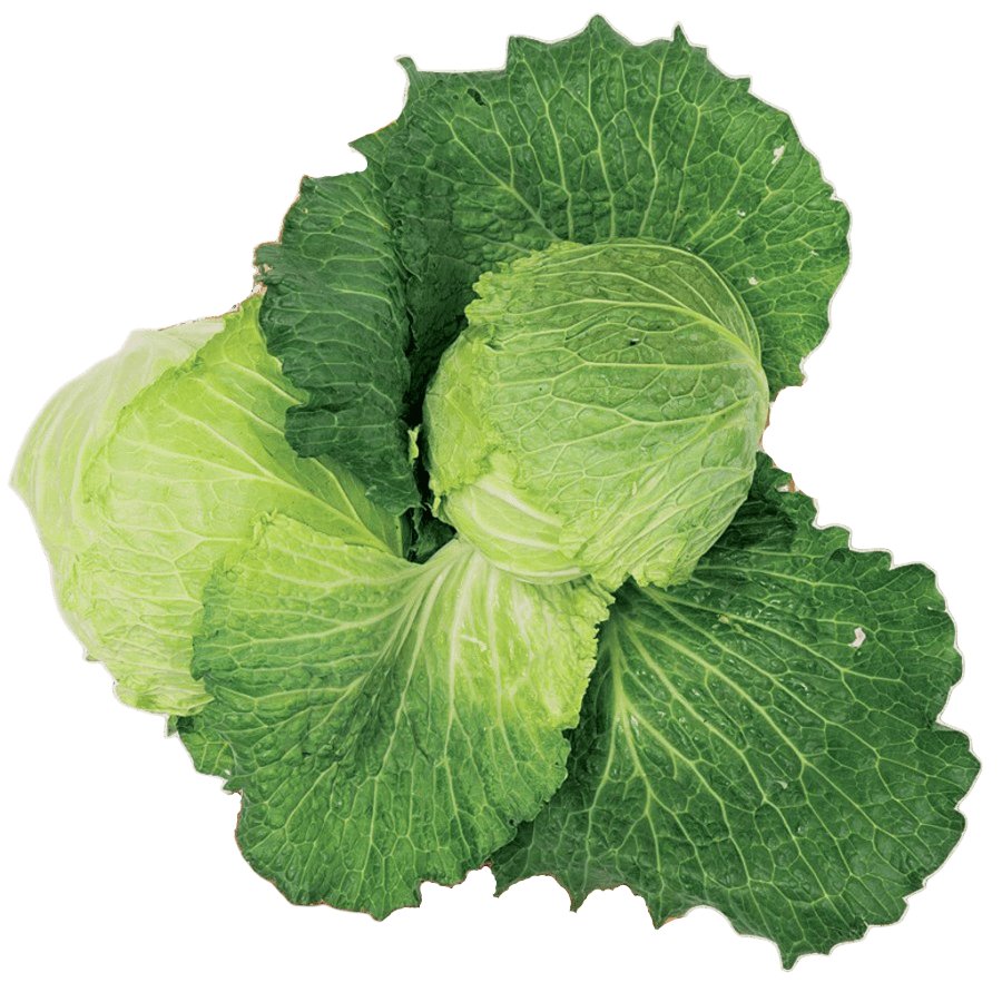 Repollo rizo entero categoría 1ª (p.min 1100g) kilo