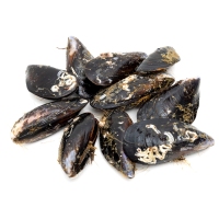 Mejillón etiqueta negra kilo