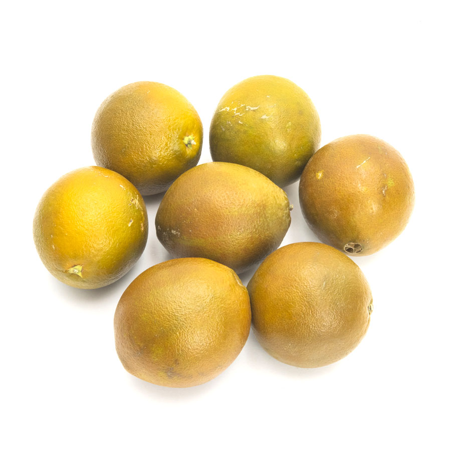 Naranja navel chocolate calibre 3/4 (77/92mm) kilo