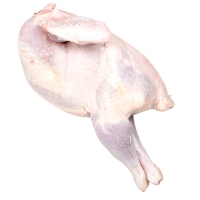 Pavo fresco  kilo