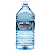 Agua sin gas FONTECELTA garrafa 5 l