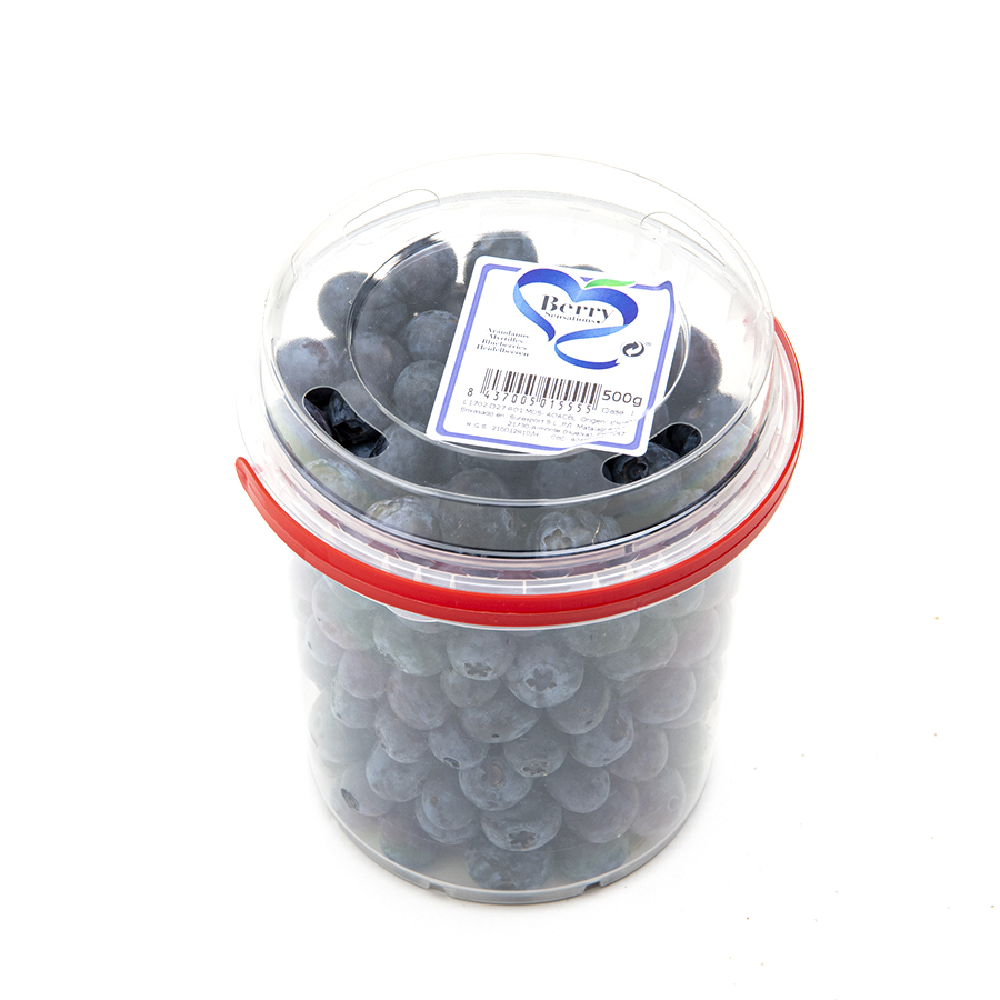 Arándanos categoría 1ª calibre 14mm+ 500 g