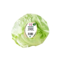 Lechuga iceberg calibre 10 (p.min 300 g) unidad