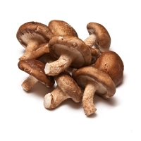 Cogomelos Shitake categoría 1ª calibre 40mm+ quilo
