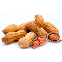 Cacahuete con cáscara jumbo tostado calibre 2/3mm kilo