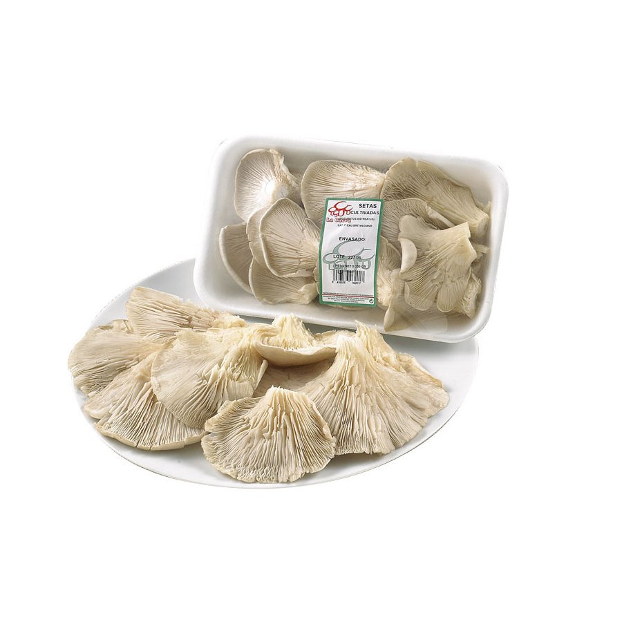 Setas categoría 1ª calibre 40/90mm bandeja 200 g