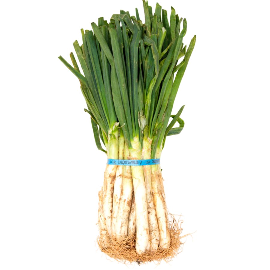 Calçots (25 piezas) manojo