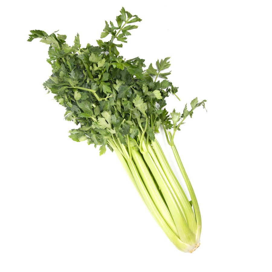 Apio verde categoría 1ª (longitud superir 30cm+) kilo