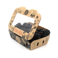 Moras ecológicas categoría 1ª bandeja 125 g