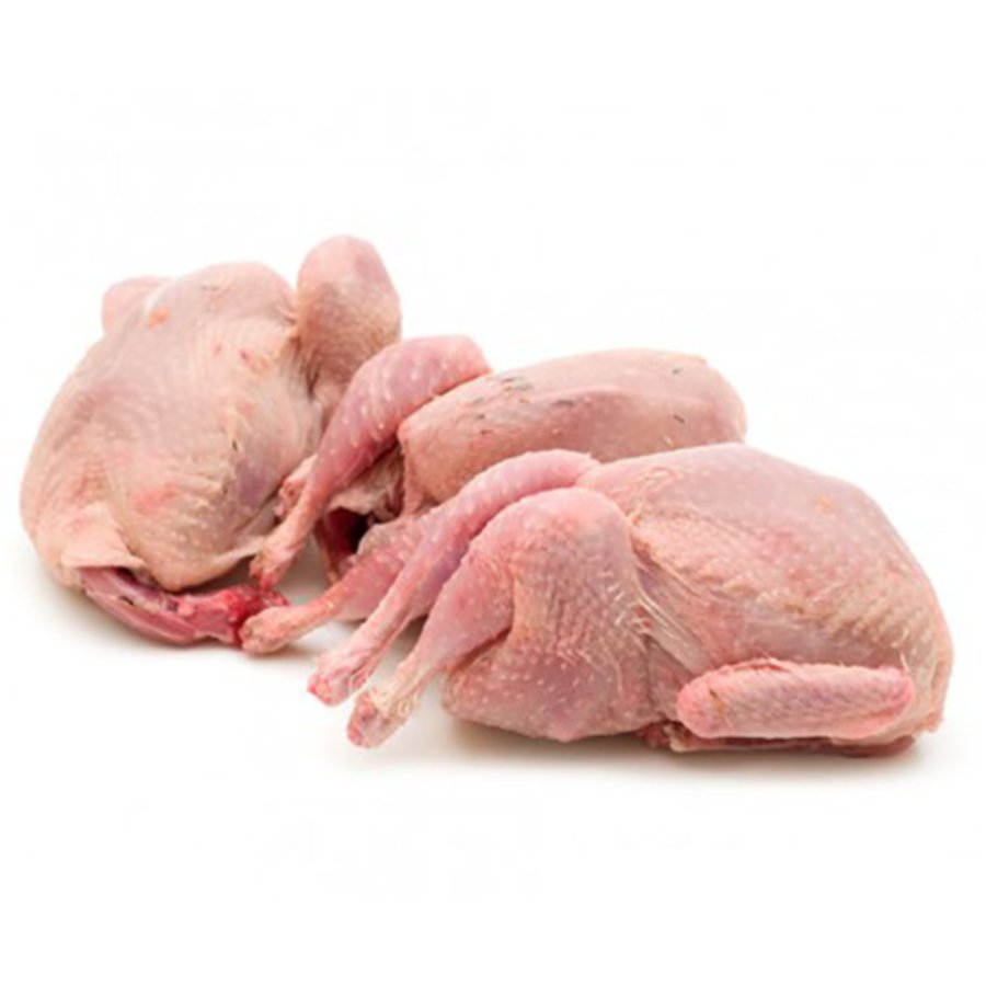 Codorniz fresca unidad