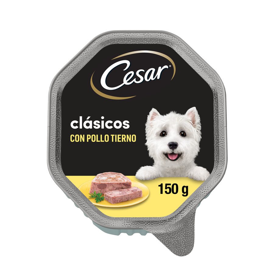 Alimento perro CESAR paté de pollo tarrina 150 g