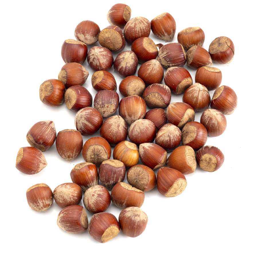 Imagen de Avellana agrietada tostada calibre 14/16mm kilo