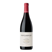 Vino tinto D.O.Valdeorras JOAQUÍN REBOLLEDO mencía botella 75 cl