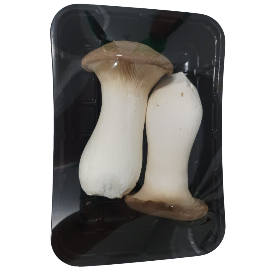 Seta cardo (eringgi)categoría 1ª bandeja 150 g