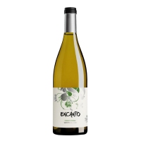 Viño branco IXP.Terra de Castela e León ENCANTO godello verdejo botella 75 cl