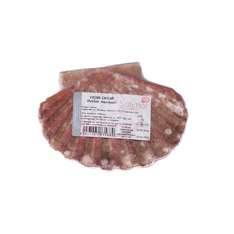 Vieira entera congelada SALIMAR higienizada 5/7 pieza