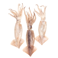 Pota de altura grande kilo