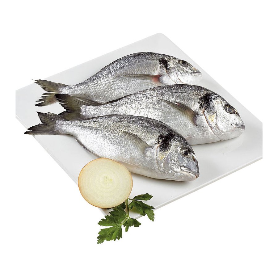 Dorada acuicultura pieza (300-400 g)
