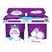 Leite fermentado sen lactosa KAIKU natural azucrado lote 4x125 g