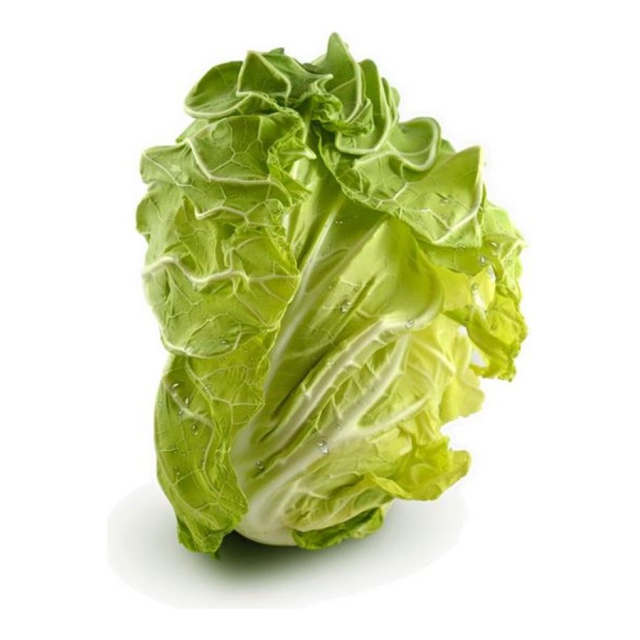 Berza blanca categoría 1ª (peso mínimo 800 g) kilo